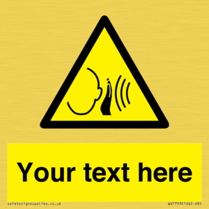 Custom warning sudden loud noise